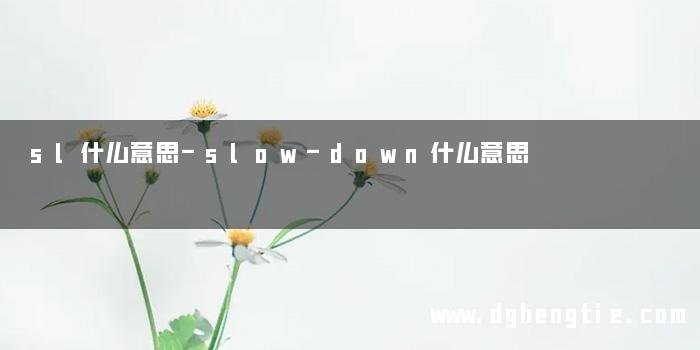 sl什么意思-slow-down什么意思