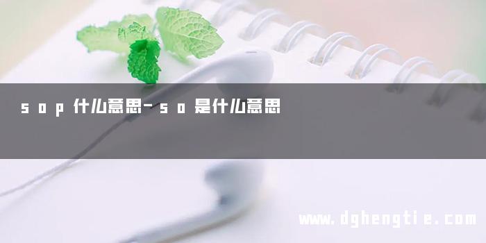 sop什么意思-so是什么意思
