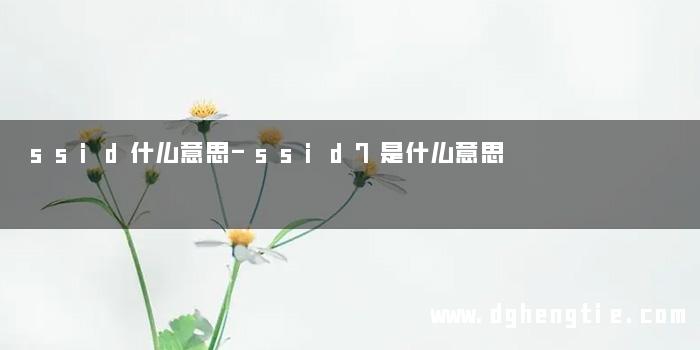 ssid什么意思-ssid7是什么意思