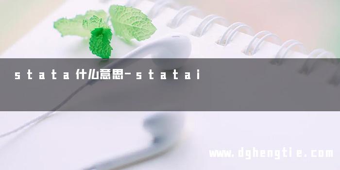 stata什么意思-statai