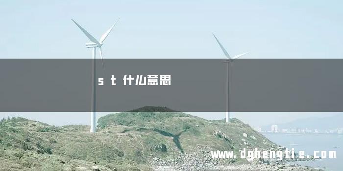 st什么意思