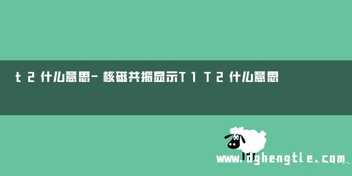 t2什么意思-核磁共振显示T1T2什么意思