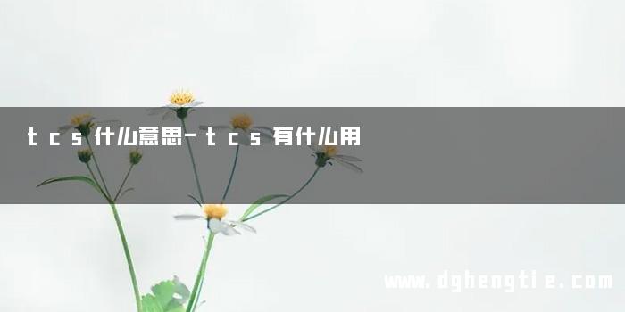 tcs什么意思-tcs有什么用