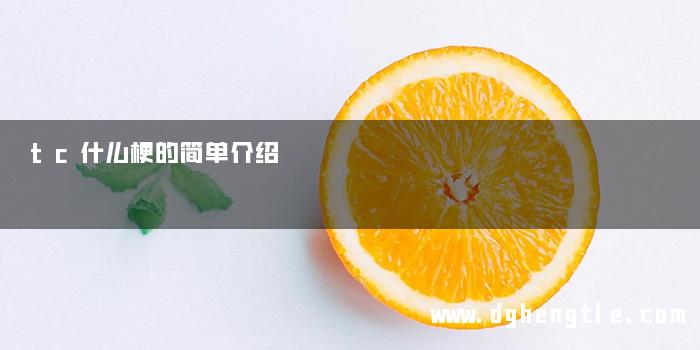tc什么梗的简单介绍