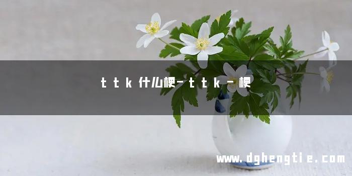 ttk什么梗-ttk-梗