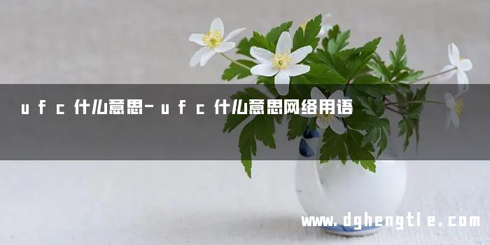 ufc什么意思-ufc什么意思网络用语