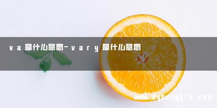 va是什么意思-vary是什么意思