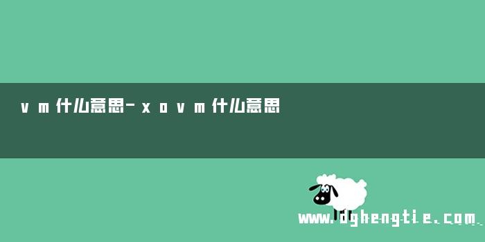 vm什么意思-xovm什么意思