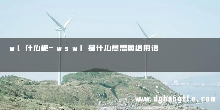 wl什么梗-wswl是什么意思网络用语