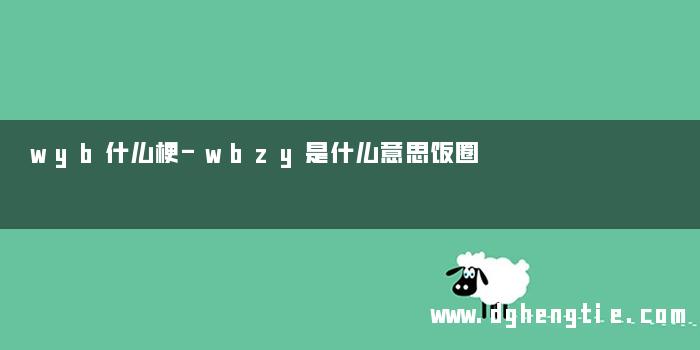 wyb什么梗-wbzy是什么意思饭圈