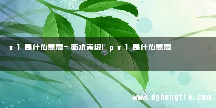 x1是什么意思-防水等级ipx1是什么意思