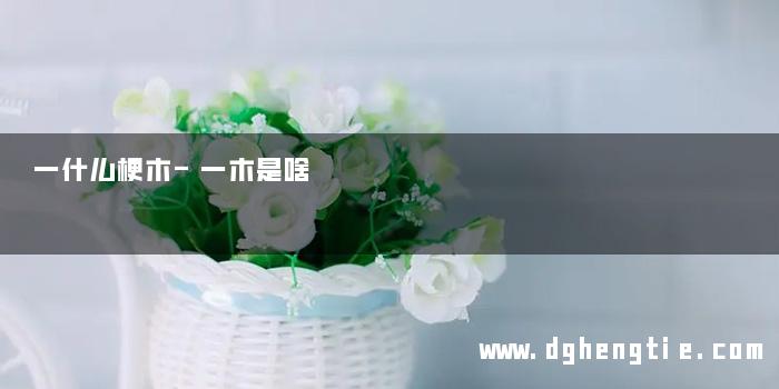 一什么梗木-一木是啥