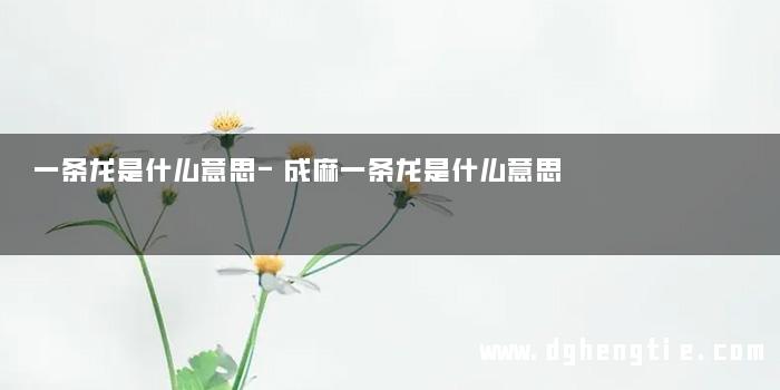 一条龙是什么意思-成麻一条龙是什么意思