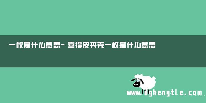 一枚是什么意思-喜得皮夹克一枚是什么意思