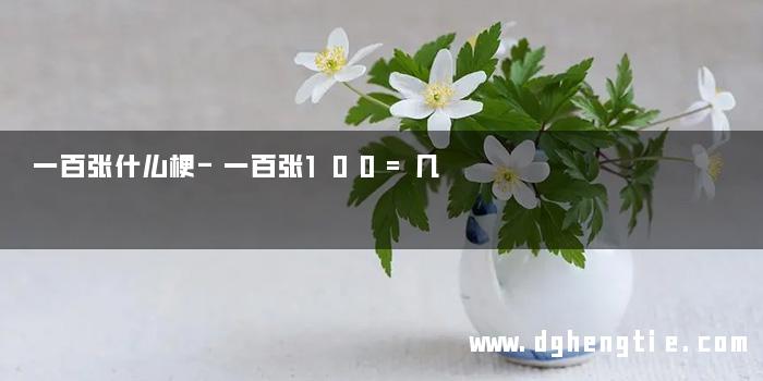 一百张什么梗-一百张100=几