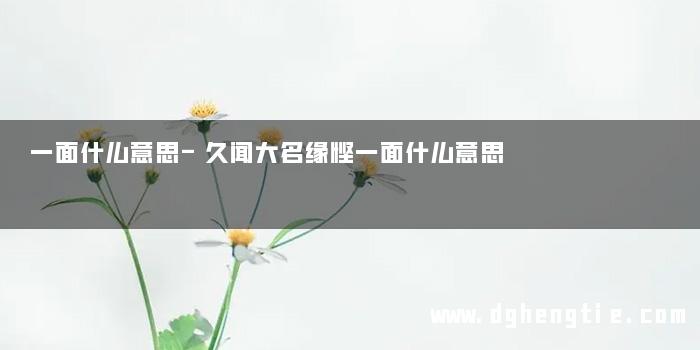 一面什么意思-久闻大名缘悭一面什么意思