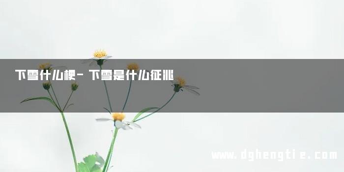 下雪什么梗-下雪是什么征兆
