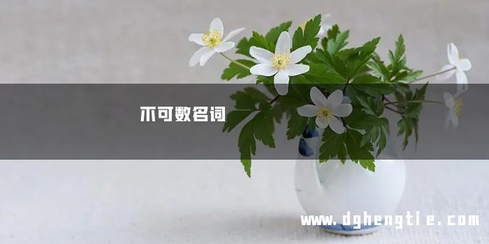 不可数名词