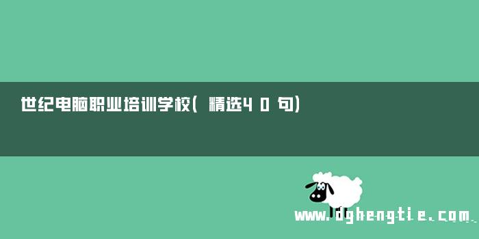 世纪电脑职业培训学校（精选40句）