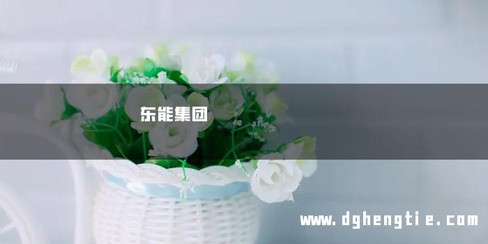 东能集团
