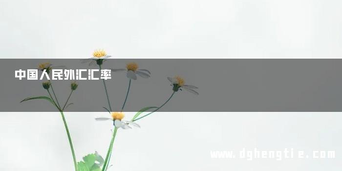 中国人民外汇汇率