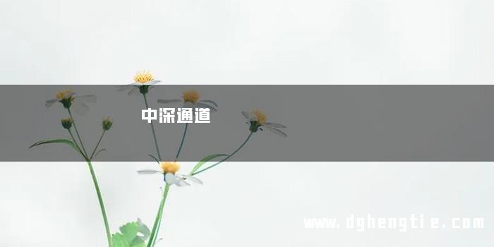 中深通道