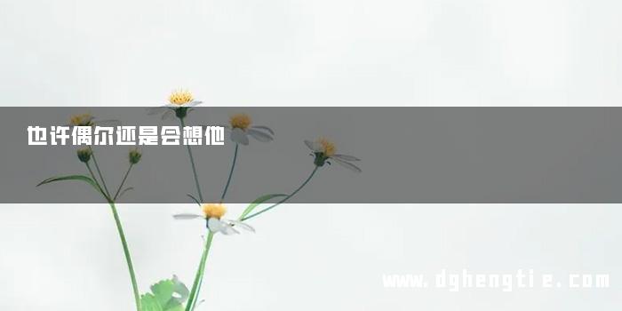 也许偶尔还是会想他