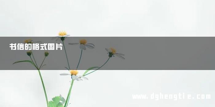 书信的格式图片