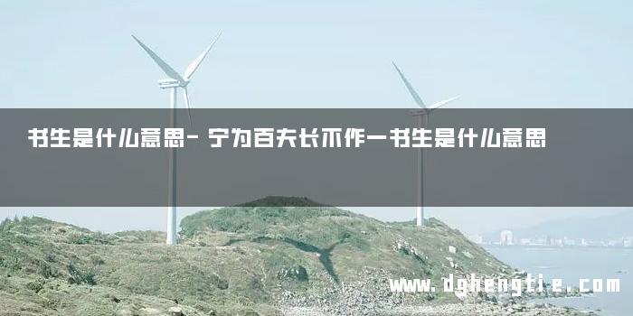 书生是什么意思-宁为百夫长不作一书生是什么意思