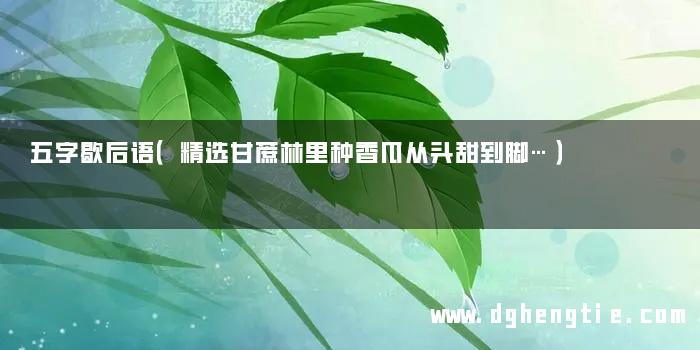五字歇后语（精选甘蔗林里种香瓜从头甜到脚…）