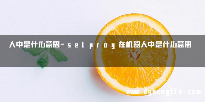 人中是什么意思-selprog在机器人中是什么意思