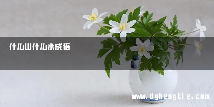 什么山什么水成语