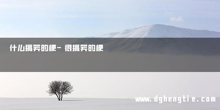 什么搞笑的梗-很搞笑的梗
