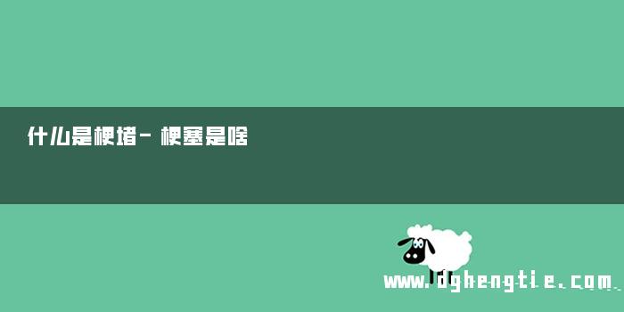 什么是梗堵-梗塞是啥