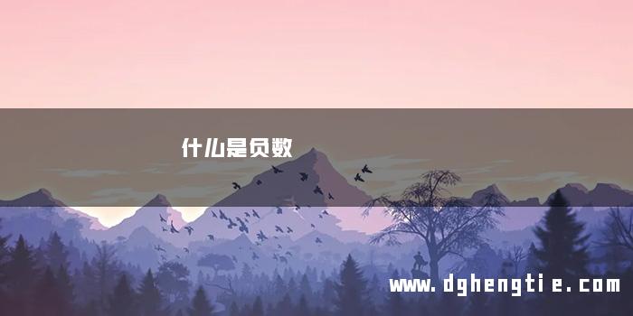 什么是负数