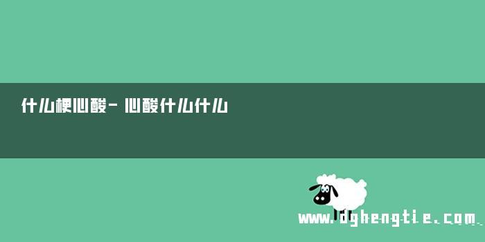 什么梗心酸-心酸什么什么