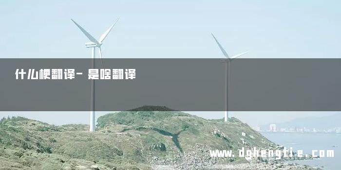什么梗翻译-是啥翻译