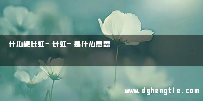 什么梗长虹-长虹-是什么意思