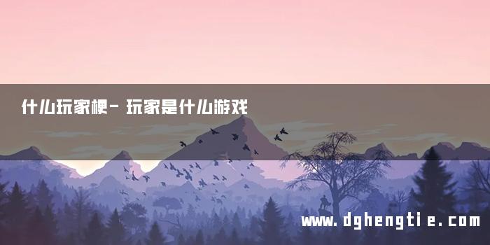 什么玩家梗-玩家是什么游戏