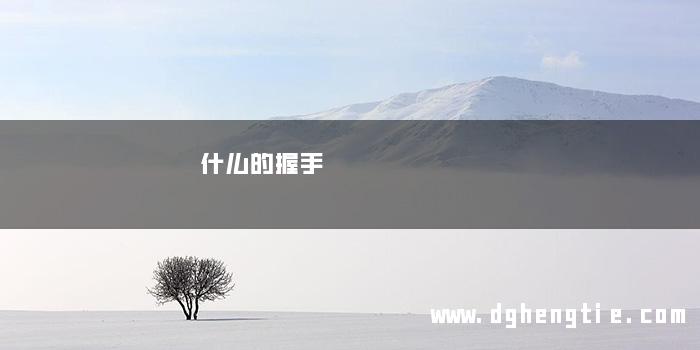 什么的握手