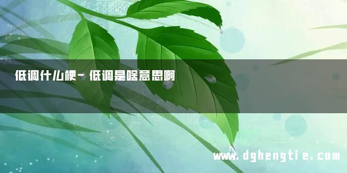 低调什么梗-低调是啥意思啊