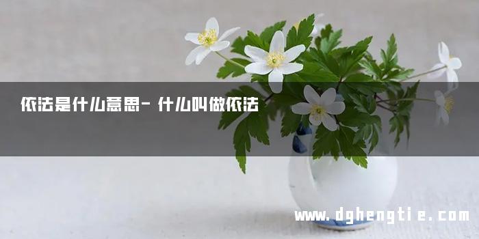 依法是什么意思-什么叫做依法
