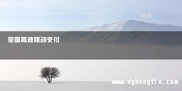 全国高速移动支付