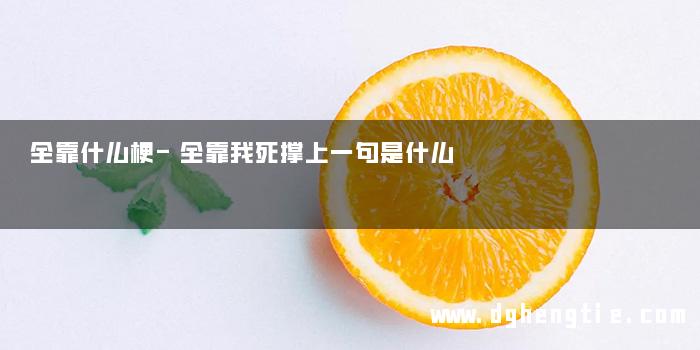 全靠什么梗-全靠我死撑上一句是什么