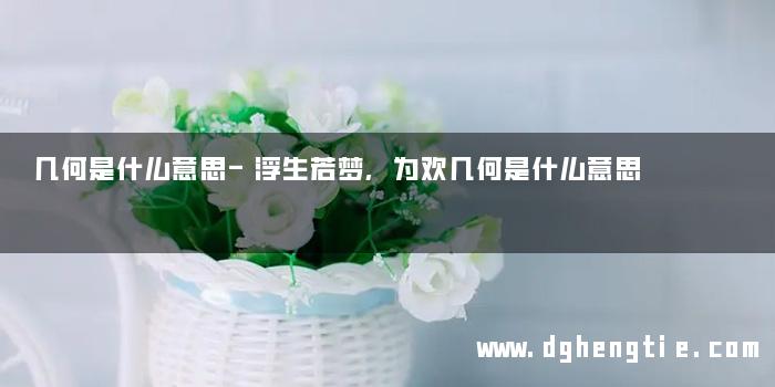 几何是什么意思-浮生若梦,为欢几何是什么意思