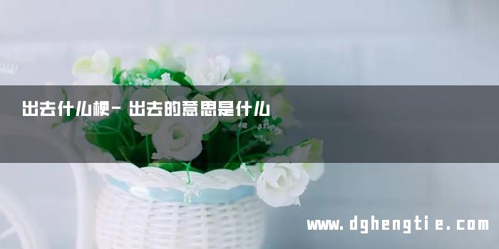出去什么梗-出去的意思是什么