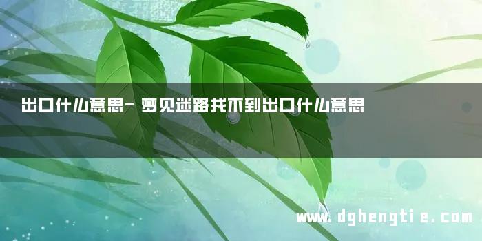 出口什么意思-梦见迷路找不到出口什么意思