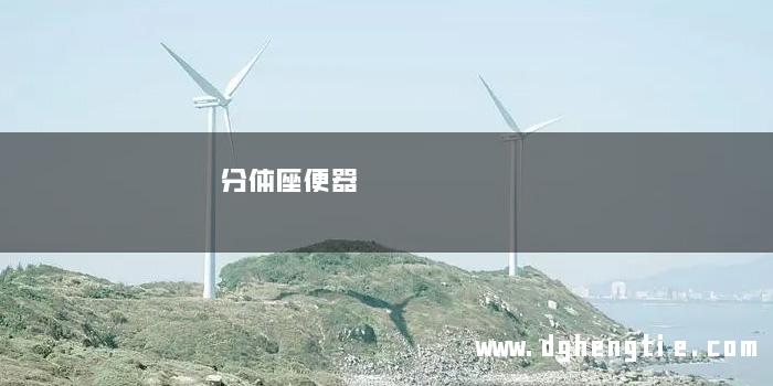 分体座便器