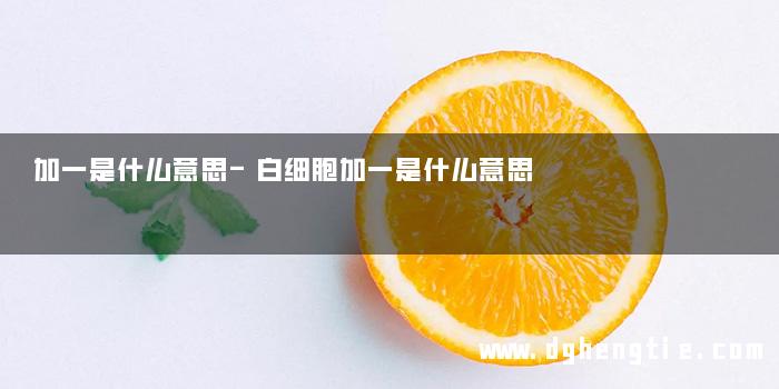 加一是什么意思-白细胞加一是什么意思