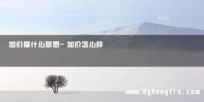 加价是什么意思-加价怎么样